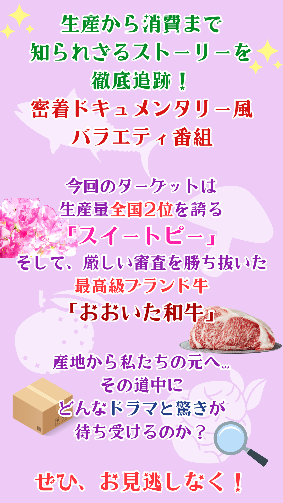 今回のターゲットは生産量全国2位を誇る「スイートピー」、そして厳しい審査を勝ち抜いた最高級ブランド牛「おおいた和牛」